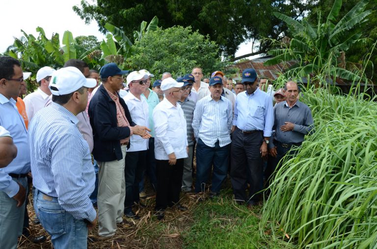 El Ministro de Economía, Temístocles Montás, observa una de las plantaciones que desarrollan los productores mocanos de aceites esenciales.