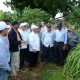 El Ministro de Economía, Temístocles Montás, observa una de las plantaciones que desarrollan los productores mocanos de aceites esenciales.