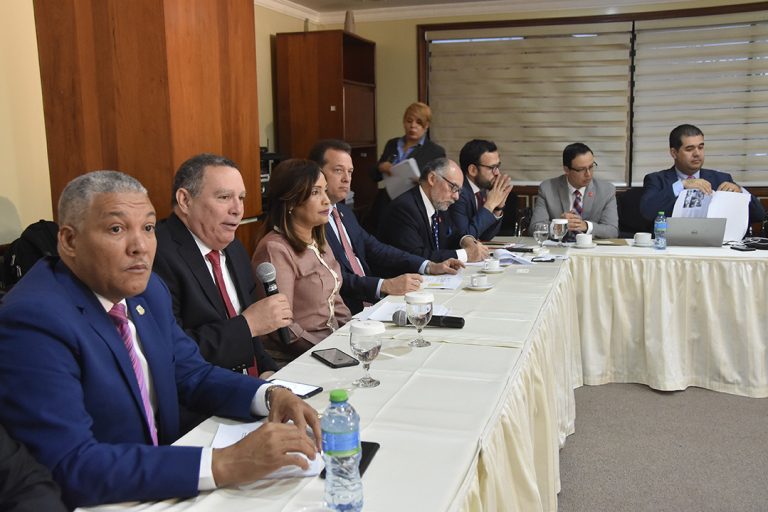 MISION PALAMENTARIA CHILENA EN RD - (19) (1)