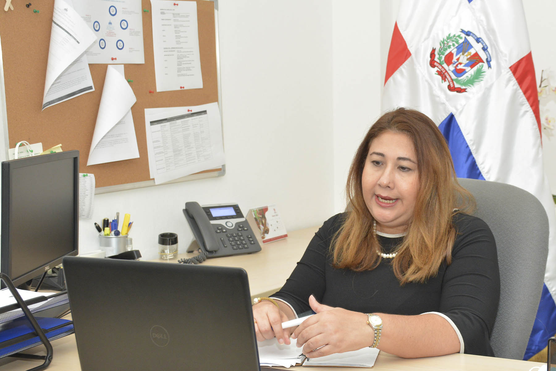 Vielka Polanco, directora ejecutiva del Centro Nacional de Fomento y Promoción de las ASFL entrevistada de manera virtual en el programa “El Rumbo de la Mañana”.