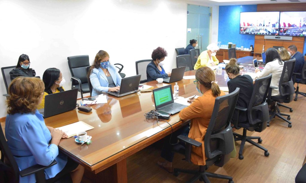 Celebran reunión Comité Técnico del Programa Binacional Haití – República Dominicana. 