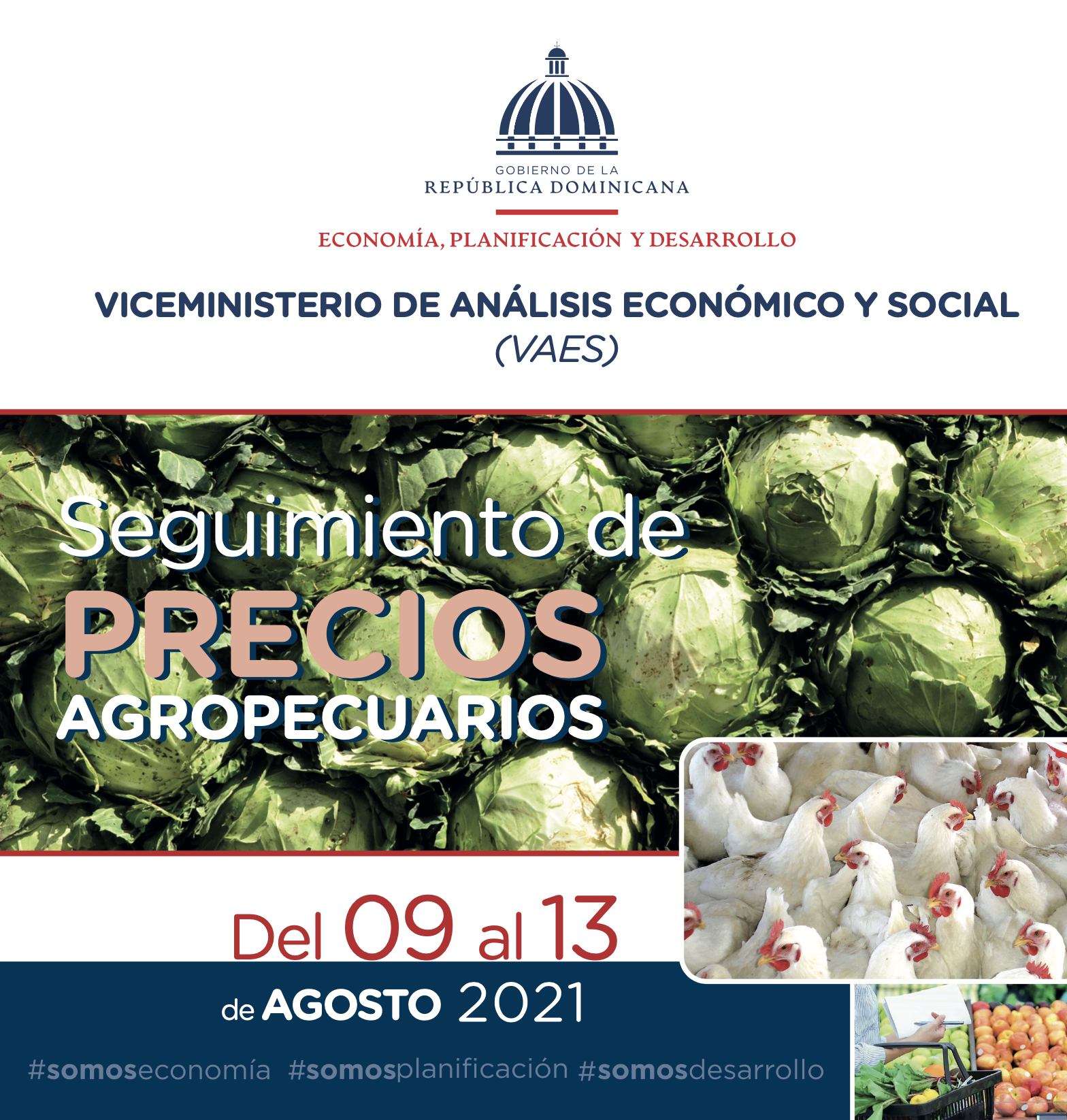 Informe de precios agropecuarios 09 al 13 AGOSTO
