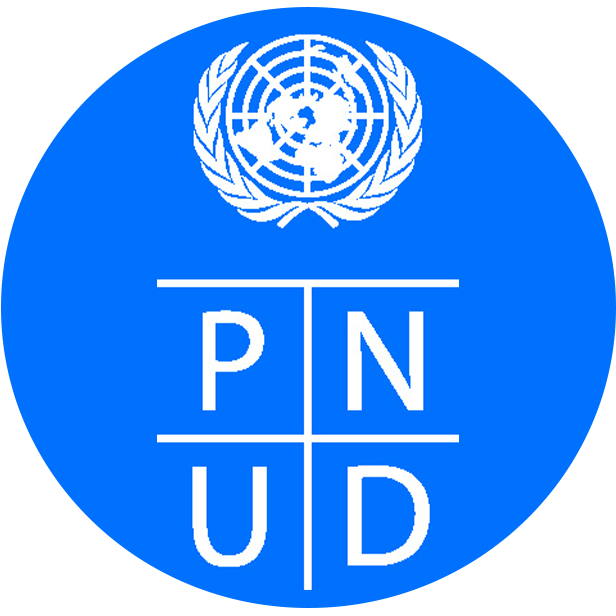 Programa de las Naciones Unidas Para el Desarrollo (PNUD) 