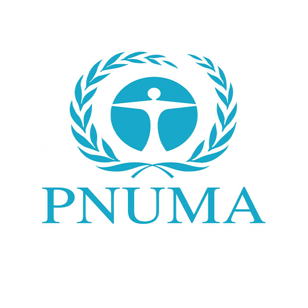 Programa de las Naciones Unidas para el Medio Ambiente (PNUMA)