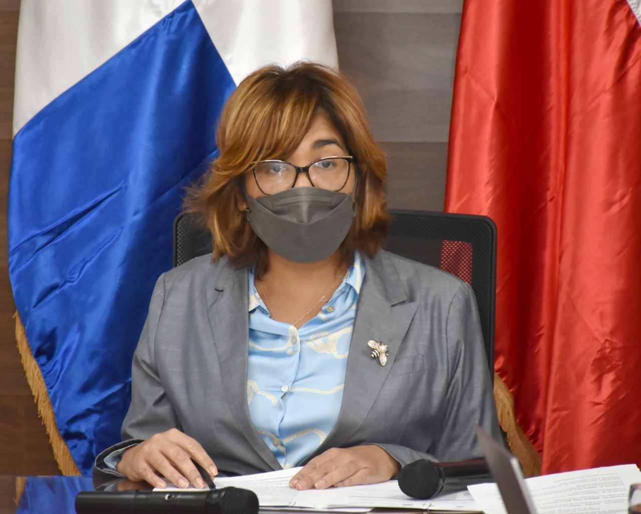 “Es para este Ministerio de Economía, Planificación y Desarrollo, un honor ser parte del lanzamiento del proyecto “Fortalecer el acceso a la información pública: Experiencias y buenas prácticas chilenas para una mejor implementación de la ley de transparencia en la República Dominicana”, la politóloga e investigadora social” expresó la viceministra de Cooperación Internacional, Olaya Dotel.