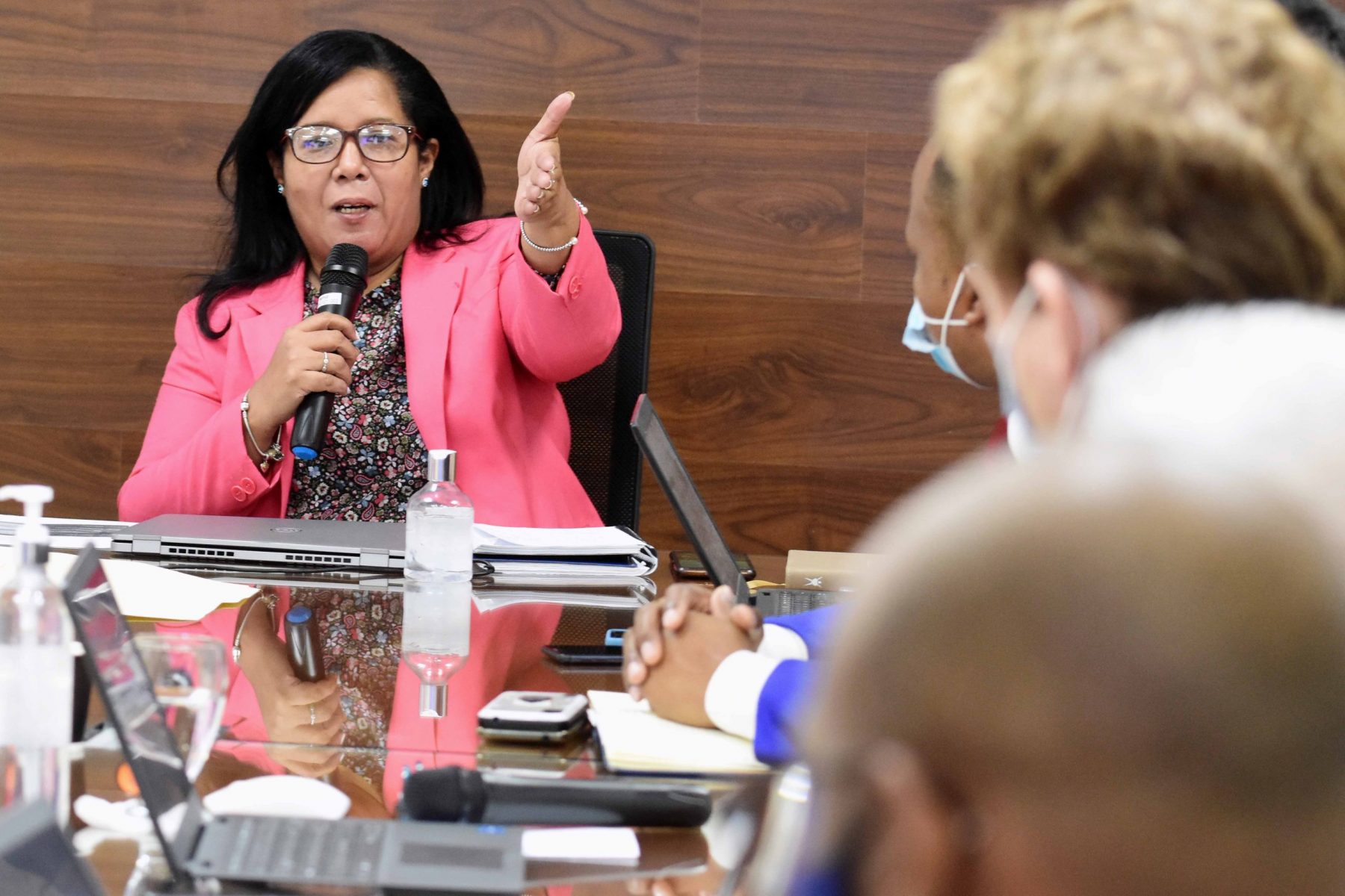 La directora de Cooperación Regional del viceministerio de Cooperación Internacional, Lidia Encarnación, encabezó la reunión del Programa de Seguridad Fronteriza Haití, Jamaica y República sobre los próximos pasos a seguir en el año 2022.