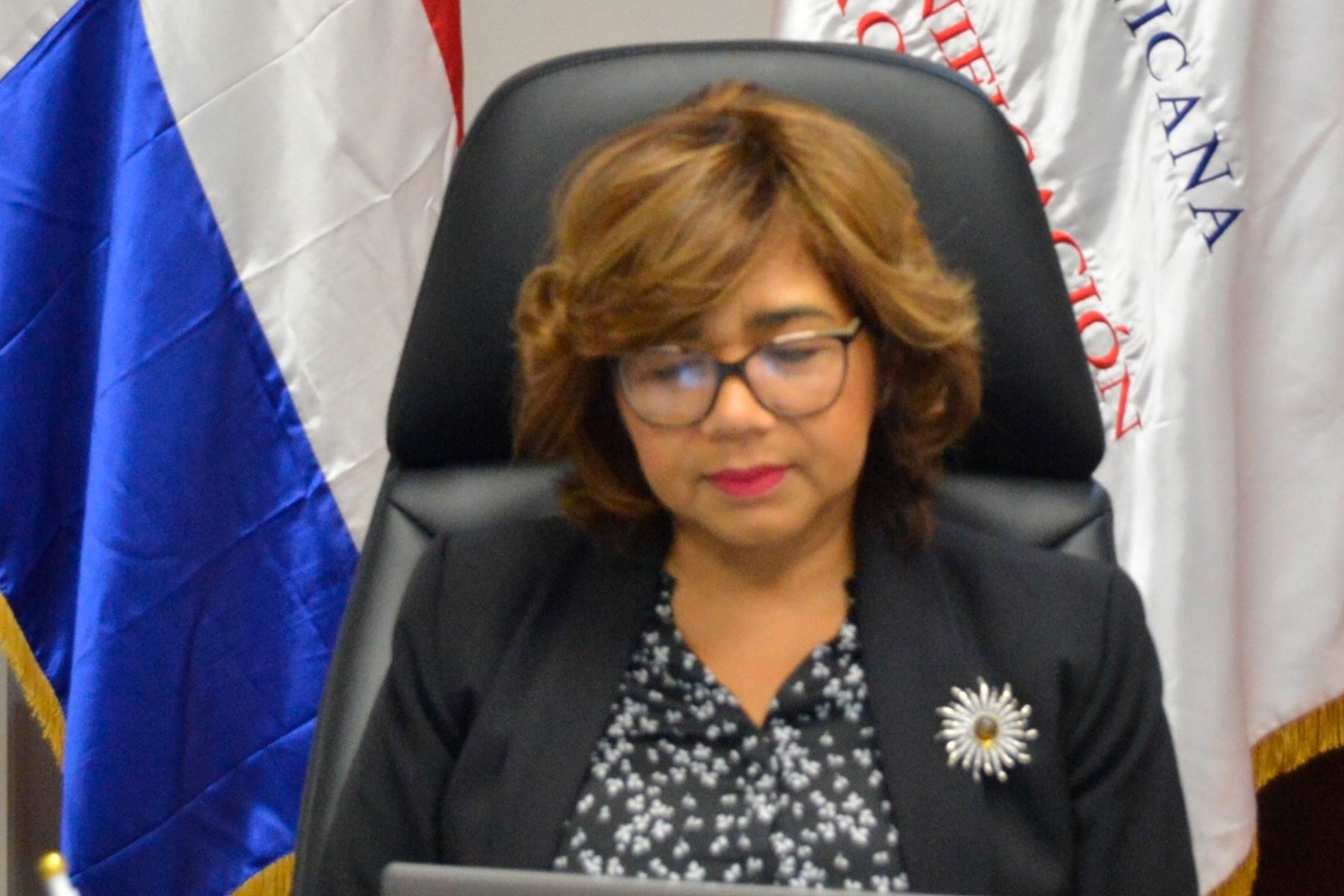 La viceministra de Cooperación Internacional del Ministerio de Economía Olaya Dotel participando en el dialogo en modalidad virtual.