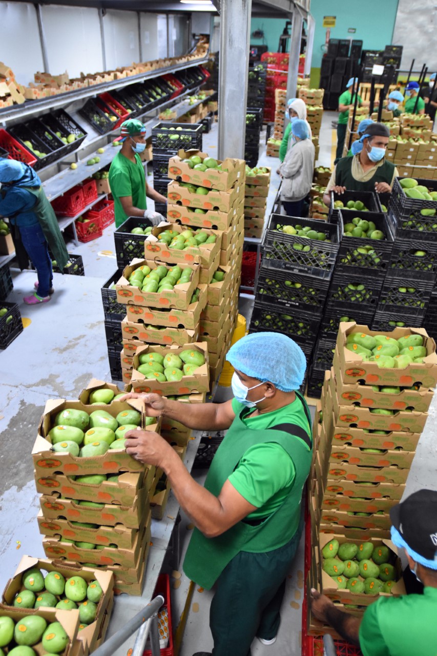 Vista panorámica instalaciones Mipymes de la Cadena de Valor de Frutas Procesadas empacadora Antonio R. Taveras Agroindustrial, ubicada en la provincia de Santiago.
