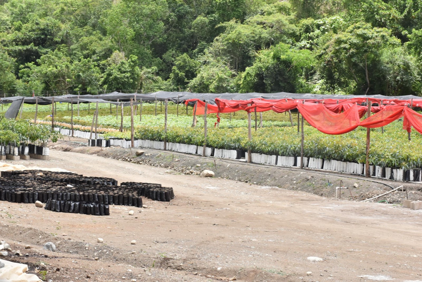 Ministerio de Economía anuncia la erogación de recursos del Fondo de Cohesión Territorial destinados a la construcción de obras públicas en el municipio de Peralta, provincia de Azua