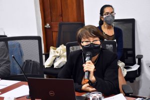 MEDIO TERMINO VOLUNTARIO JAPONESES