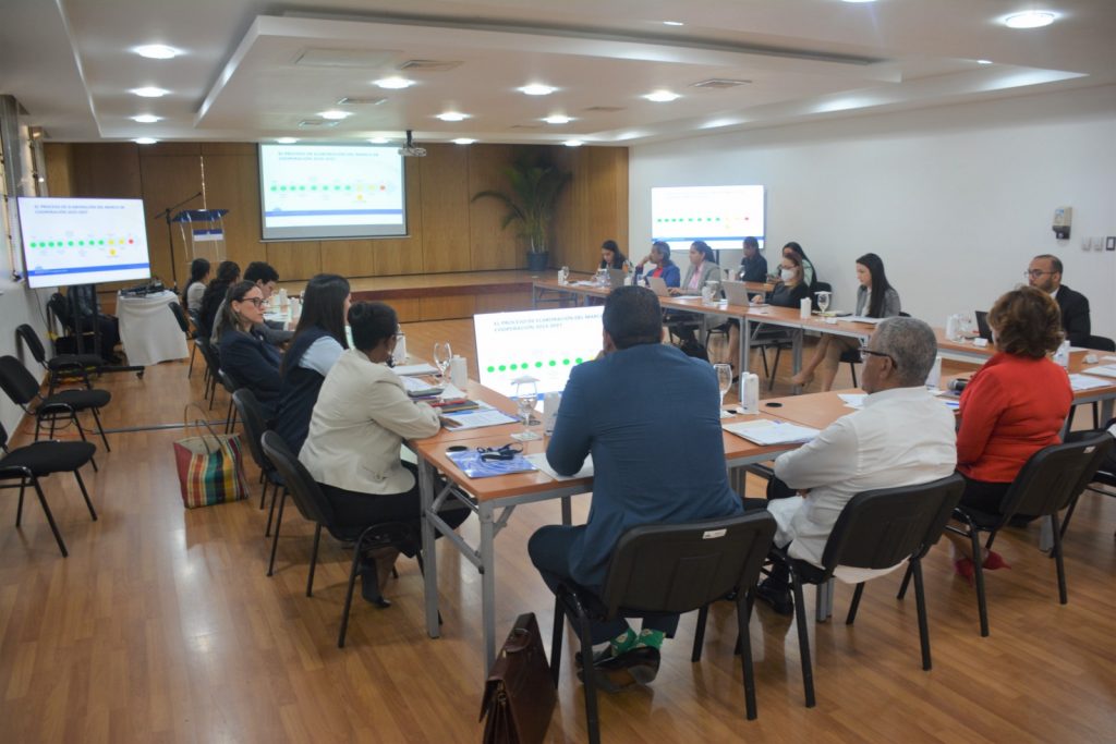 Reunión Comité Directivo en Marco de Cooperación y Naciones Unidas