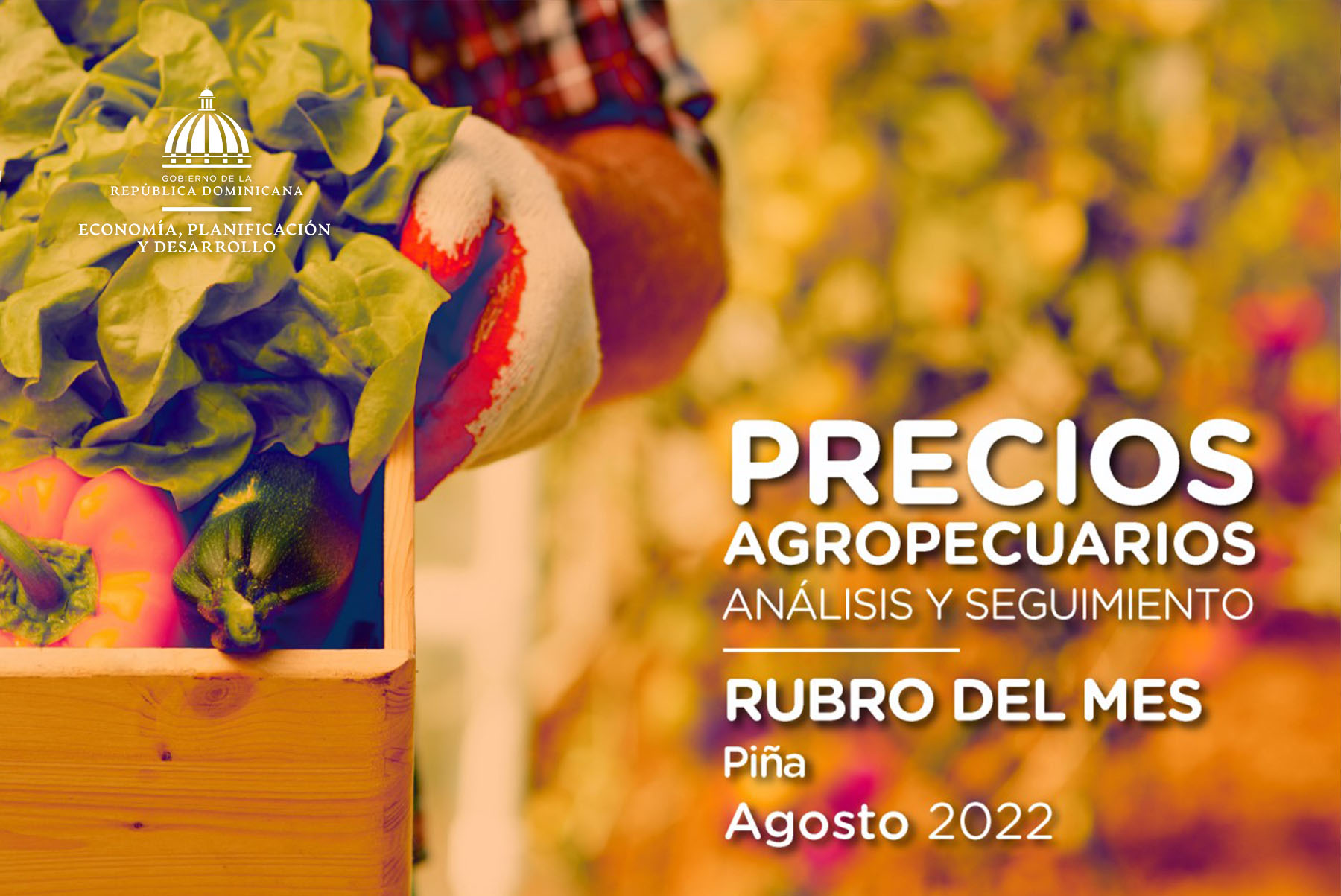 Informe de precios agropecuarios agosto 2022