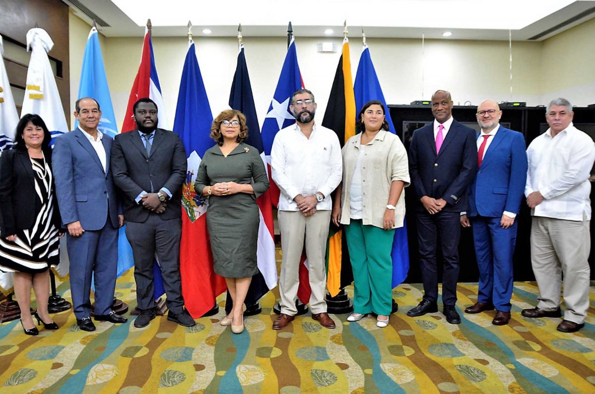 La viceministra de Cooperación Internacional del Ministerio de Economía, Planificación y Desarrollo, Olaya Dotel, en la reunión del Comité Ministerial del Corredor Biológico del Caribe.