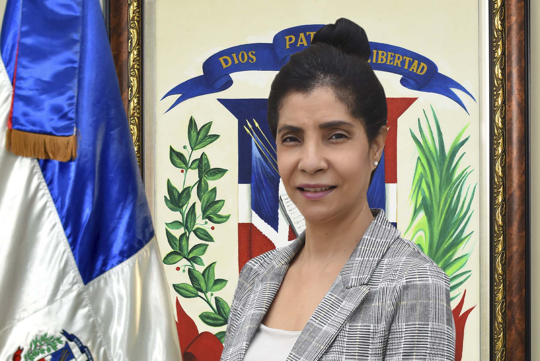 Sub portal de transparencia diciembre de 2022