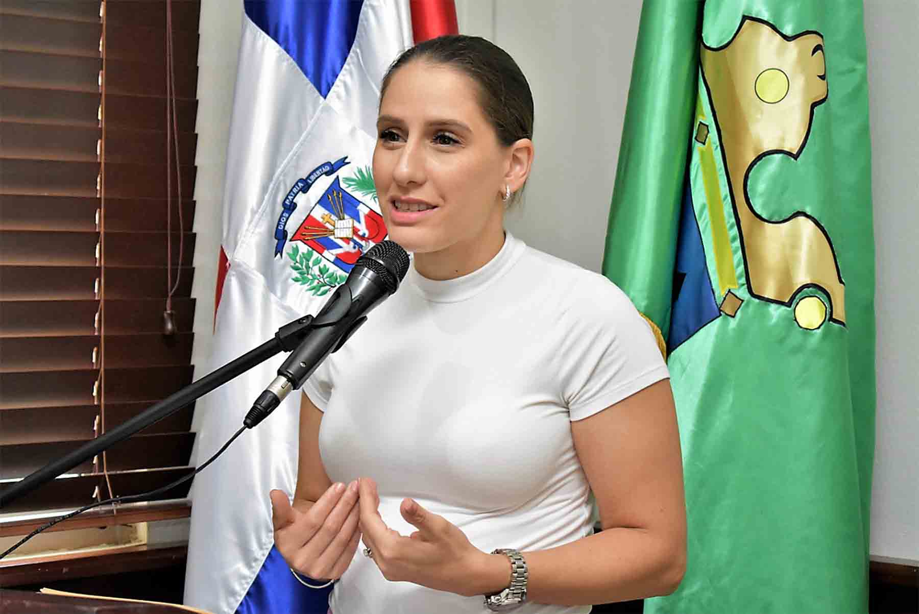 Coferencia Ley Sobre Ordenamiento Territorial-Jarabacoa