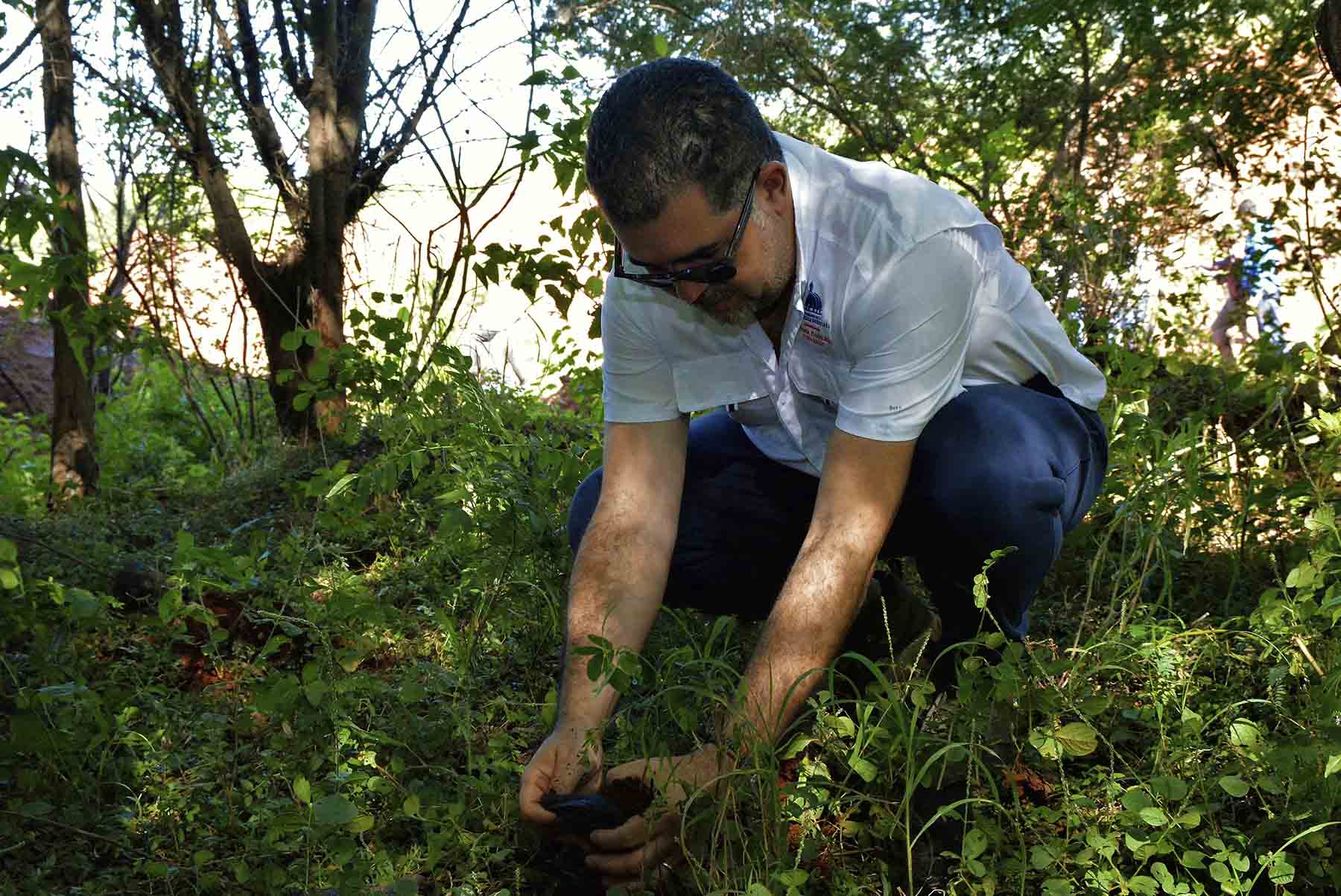 Jornada de Reforestación Pedernales