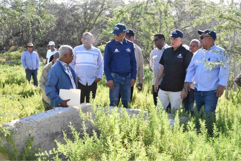 Ministro de Economía y director de INDESUR
