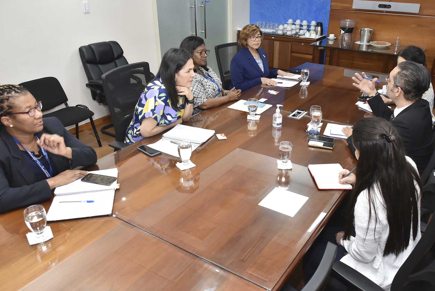 Viceministra Olaya Dotel dialoga con misión de Fondo Mundial