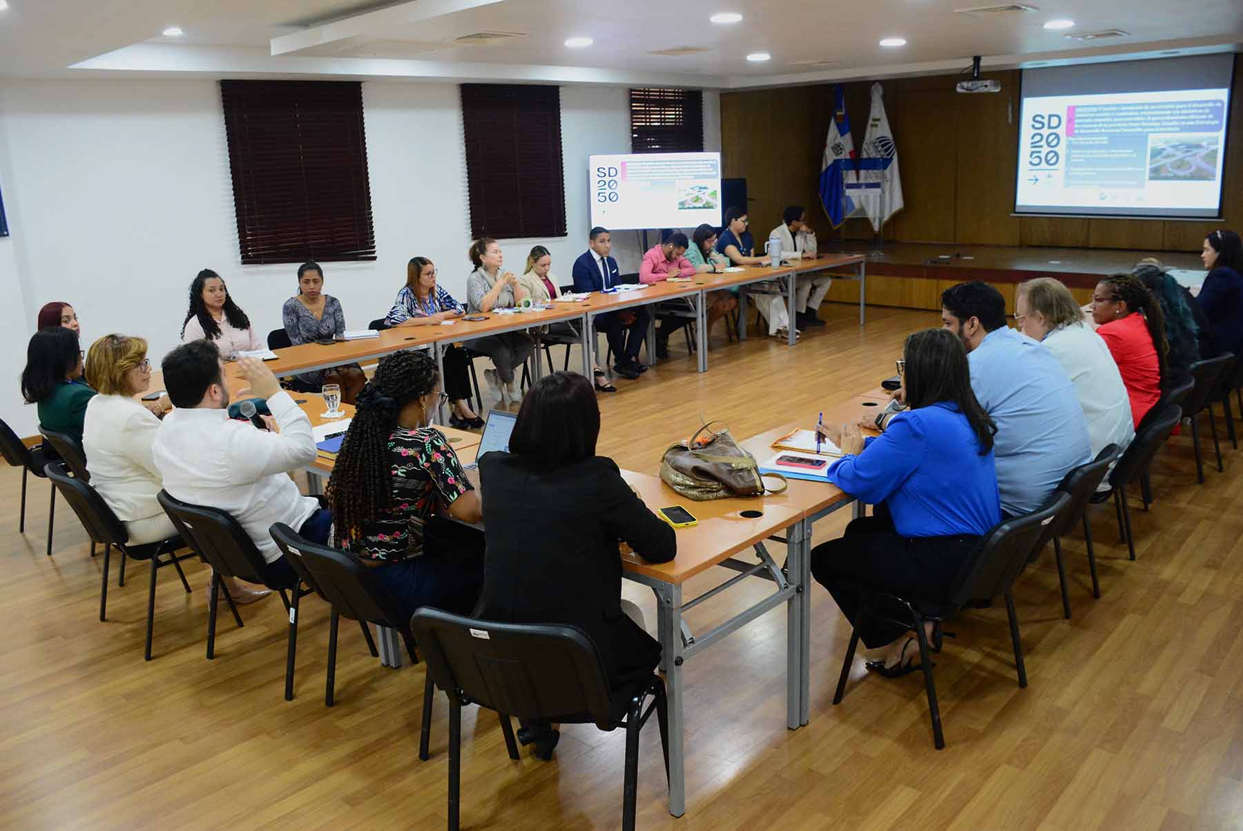 cooperación internacional para la iniciativa Santo Domingo 2050