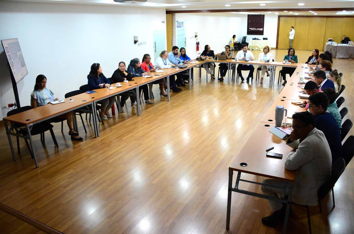 cooperación internacional para la iniciativa Santo Domingo 2050 3