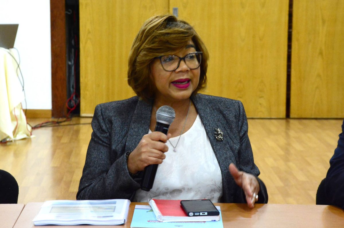 Olaya Dotel, viceministra de Cooperación Internacional del Ministerio de Economía, Planificación y Desarrollo.