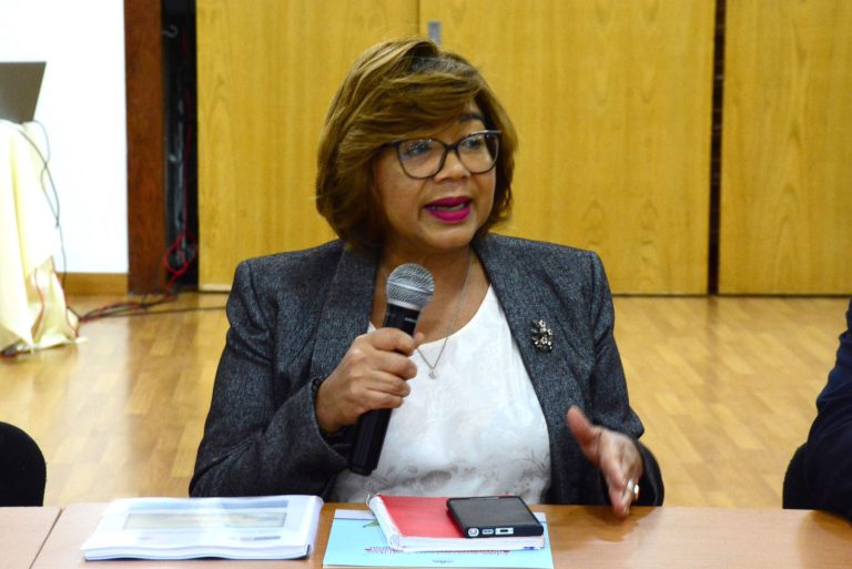 Olaya Dotel, viceministra de Cooperación Internacional del Ministerio de Economía, Planificación y Desarrollo.