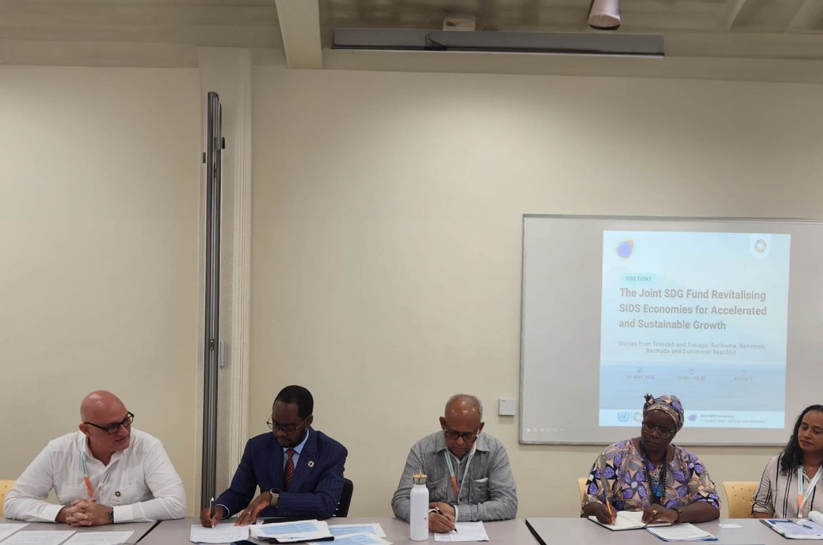 El ministro de Economía, Planificación y Desarrollo, Pável Isa Contreras, presentó la experiencia de la República Dominicana para la puesta en marcha de una Política Nacional de Cuidados.