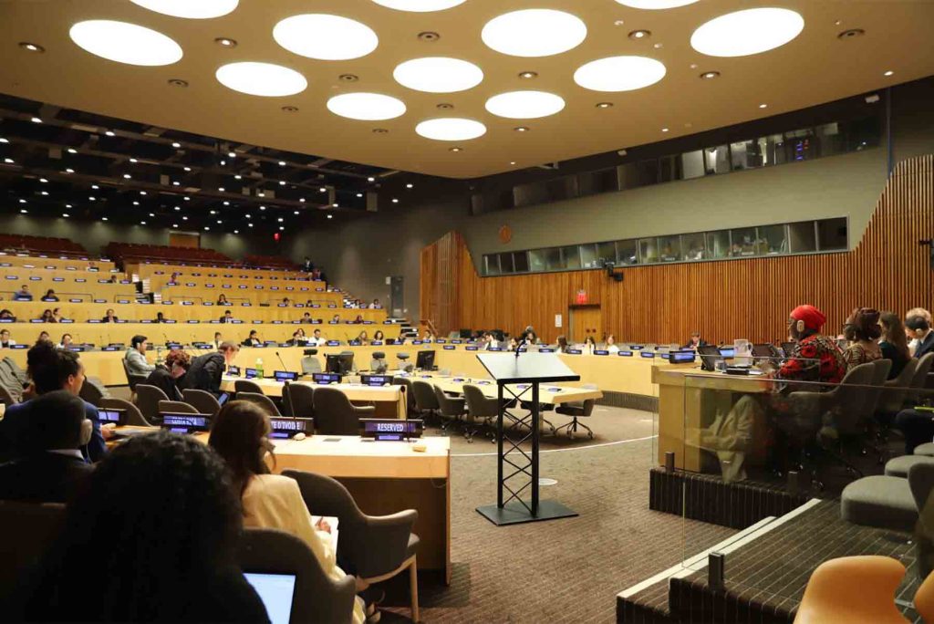 agenda del señor Viceministro en ONU1