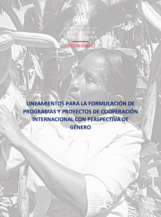 Lineamientos para la Formulación de Programas