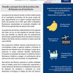 Monitor de la Frontera