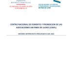 Informe de Presupuesto ASFL 2025
