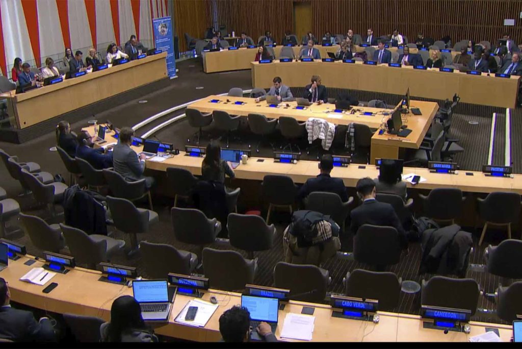 Participación VM Dotel en el Foro de Cooperación para el Desarrollo (DCF)