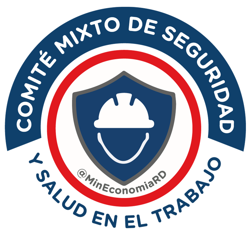 Comite mixto de seguridad y salud