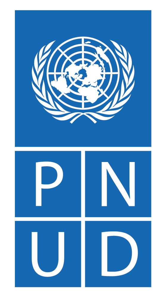 Logo PNUD